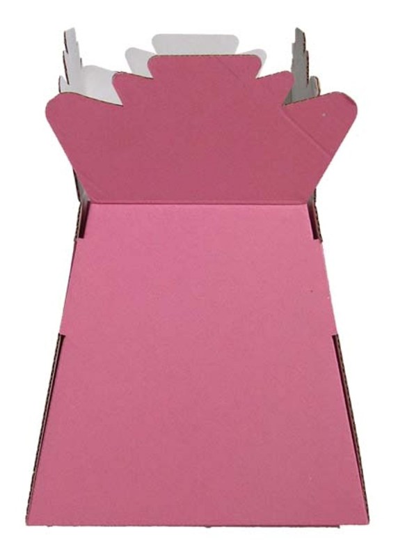 Picture of Box of 30 pink living florist vases, height-25cm